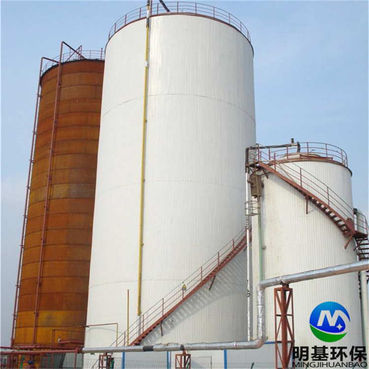 土豆加工廢水厭氧反應器設備